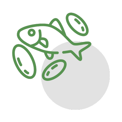 Fish Oils & Essential Fatty Acids