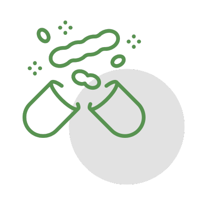 Probiotic & Digestion